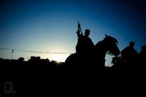 Cavalier Waada à El Maleh وعدة المالح (W. Ain Temouchent)