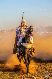 Cavalier à la Waada d'El Malah وعدة المالح (W. Ain Temouchent)