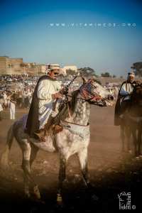 Cavalier à la Waada d'El Malah وعدة المالح (W. Ain Temouchent)