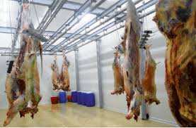 Fête de l’aïd el adha à Biskra:  L’abattoir industriel offre gratuitement ses services