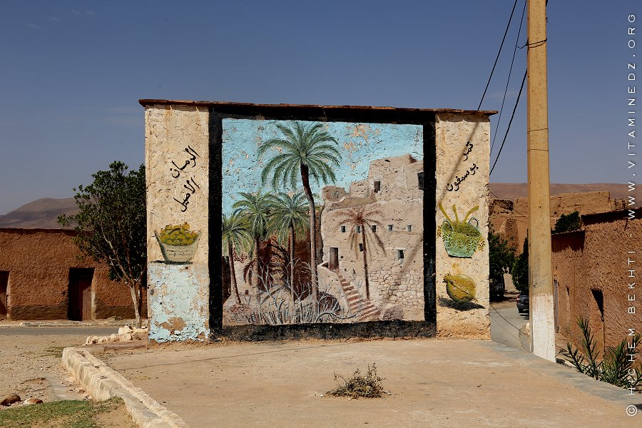 Boussemghoun est connue pour ses palmeraies, ses ksour et la culture des grenades.