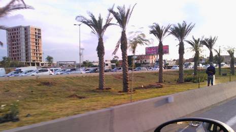 Autoroute Alger-Dar El Beïda:  Entretien aléatoire des espaces verts