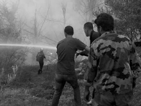 Béjaia - Feux de forêt à Ouzellaguène: Grande mobilisation des villageois
