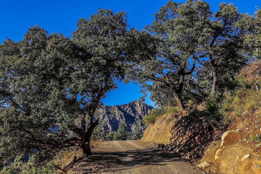 Géographie des monts Djurdjura