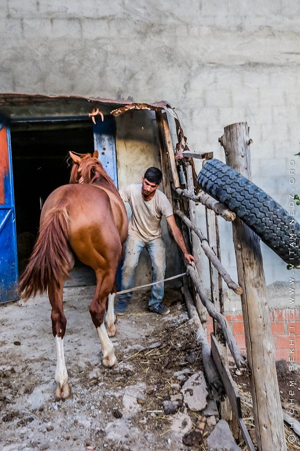 Zahir, le jeune montagnard kabyle d'Ath Ouabane