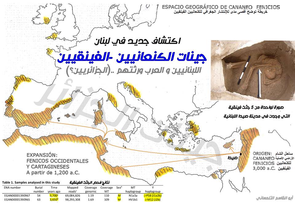 جينات الكنعانيين ( الفينقين ) .... وعلاقتهم بجينات العرب والجزائريين تحديدا !