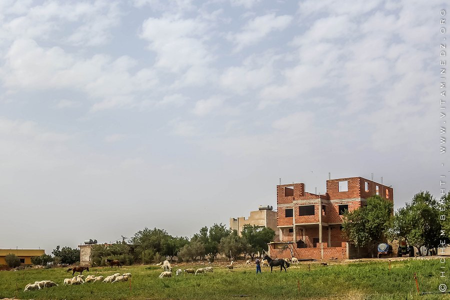 Sidi boudjenane, village frontalier du Maroc