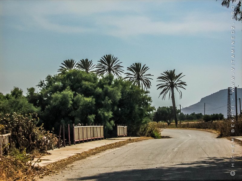 Une stèle pour Baba Arroudj, SVP