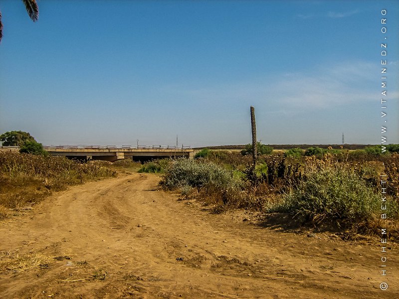 UNE JOURNÉE D’ÉTUDE LUI A ÉTÉ DÉDIÉE À AÏN TÉMOUCHENT  “Baba Arroudj aura une stèle à El-Malah en 2018”