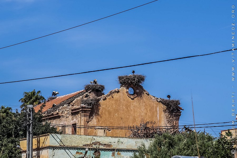 Boukhanefis, village colonial de la wilaya de Sidi Bel abbes