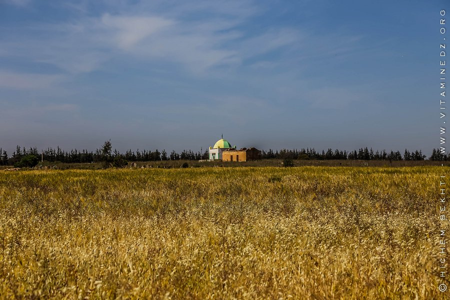 Sidi Abdellah près de Boukhanefis