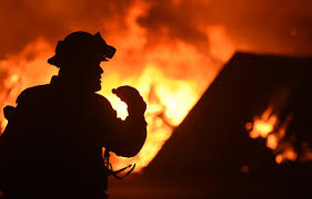 Les feux de forêt accablent les villages de Skikda:  Les habitants de Merj-Bouchbel dénoncent