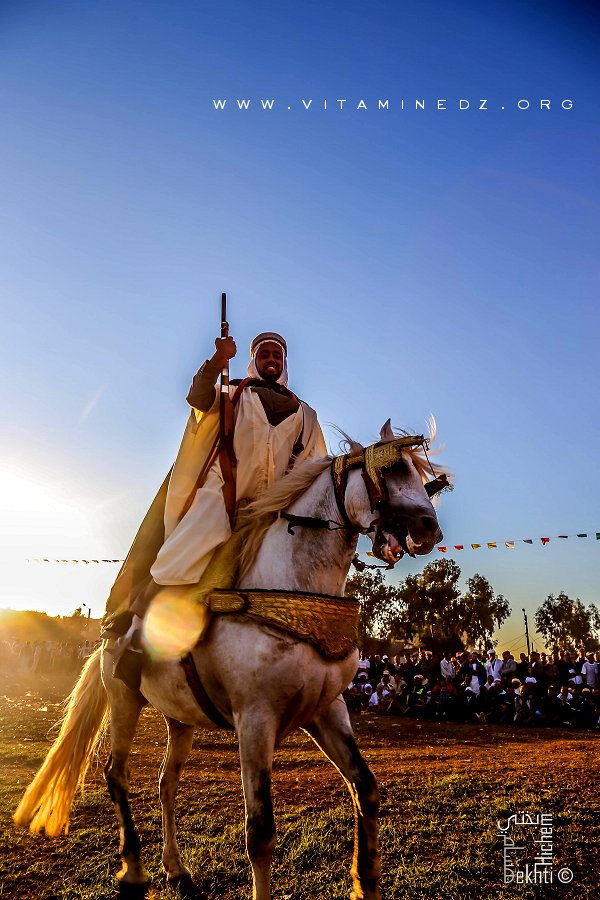 Cavalier à la Waada d'El Malah وعدة المالح (W. Ain Temouchent)