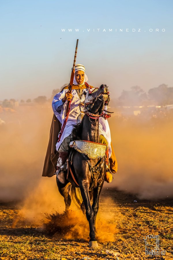 Cavalier à la Waada d'El Malah وعدة المالح (W. Ain Temouchent)