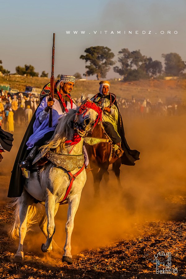 Cavalier à la Waada d'El Malah وعدة المالح (W. Ain Temouchent)