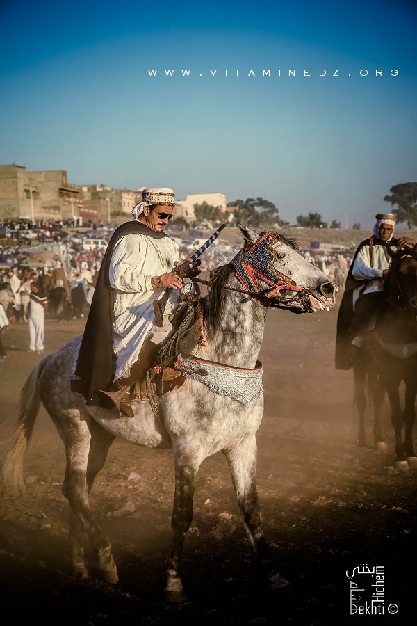 Cavalier à la Waada d'El Malah وعدة المالح (W. Ain Temouchent)