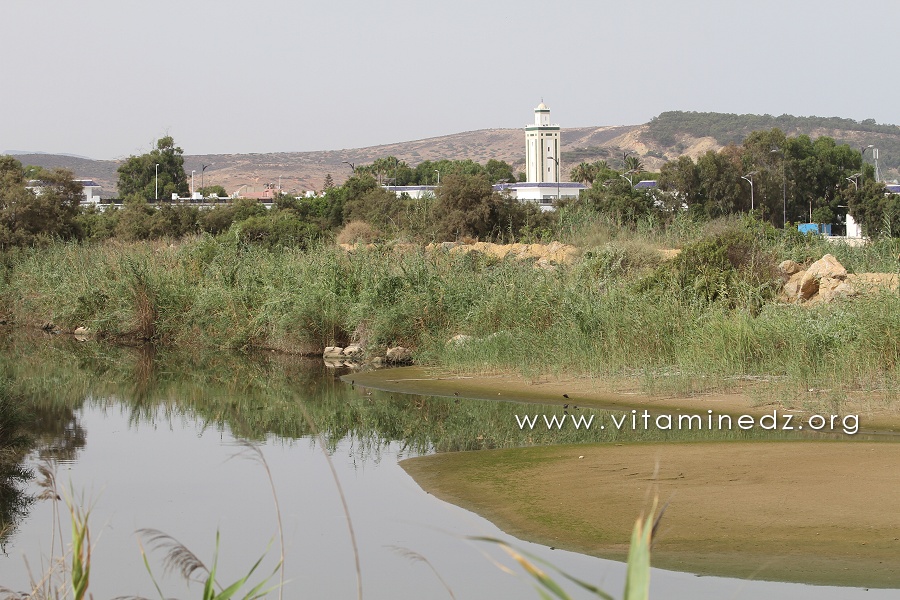 Oued Kiss à la Frontière Algérie-Maroc - Port Say (Marsa Ben Mhidi)