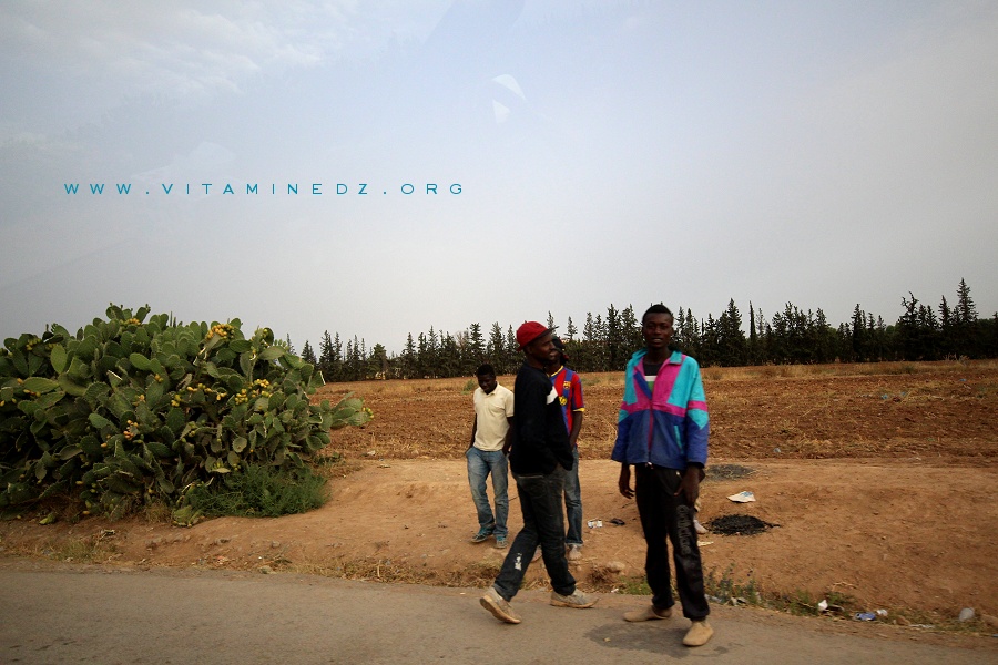 Ghetto de Maghnia : La vie d'infra-humains des Subsahariens