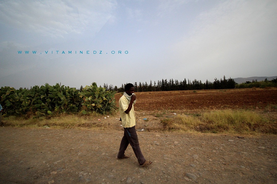 Migrants sub-sahariens à Maghnia (Frontière algéro-marocaine)