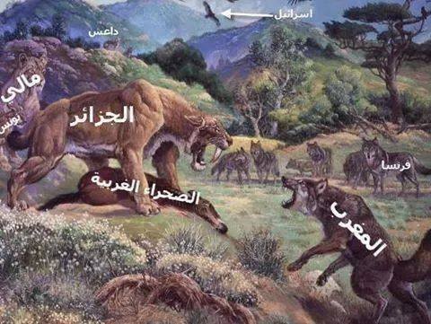 حديقة تعيشها الجزائر