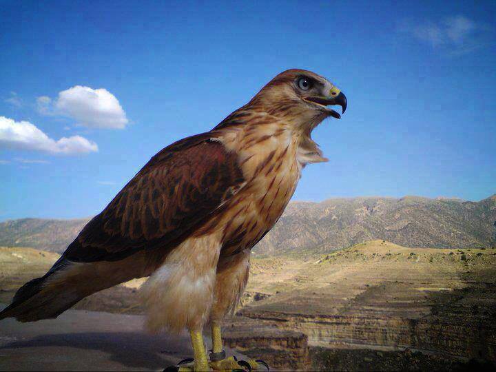 هنا الجزائر :) هنا :) باتنة