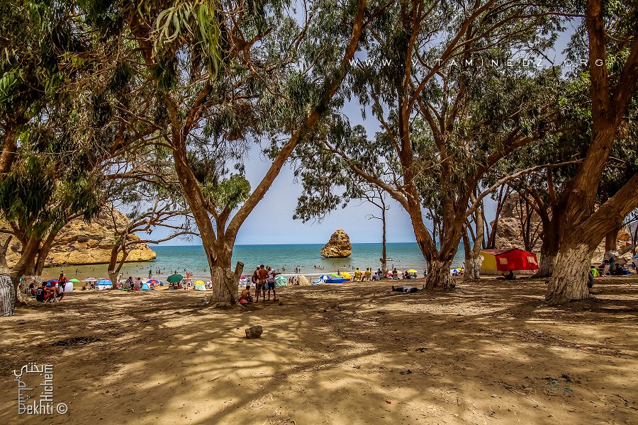 Tlemcen Vacances - La plage de PorSay (moskarda 1) avec son rocher
