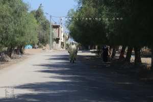 Entrée Village Merazga, situé entre Zenata et Hennaya