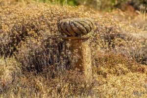 épitaphes typiquequement ottomanes du Cimetière Ottoman de Kalaa Beni Rached
