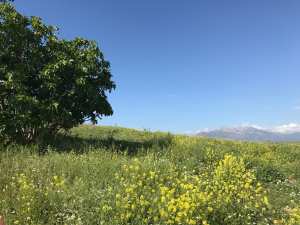 A côté de l'autoroute Est-Ouest