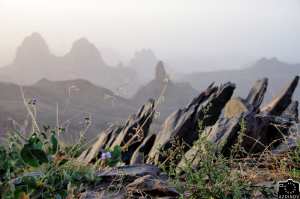 Paysage de l'Atakor [ Ahaggar ]