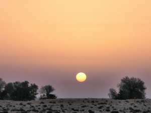 Ballade dans les environs de Laghouat