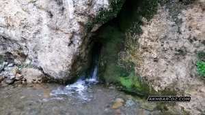 منبع المشاكي