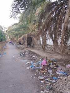 Les ordures à Tlemcen et ailleurs, un phénomène national. Mais quand la peste réapparaîtra on nous sortira les jolis discours