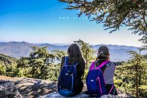 Blida : Chréa - Un havre de paix reconquis