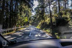 La station climatique de Chréa, destination préférée des Blidéens