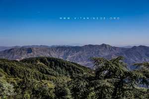 Chréa  Là-haut sur la montagne