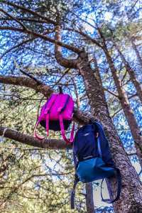 La station climatique de Chréa enchante toujours ses habitués  Destination préférée des Blidéens