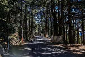 Route vers Chrea, destination touristique sur l'Atlas