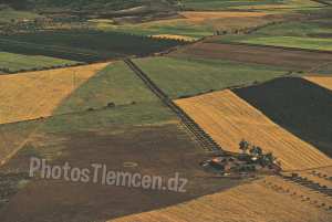 من اعالي ‎بلدية سيدي العبدلي