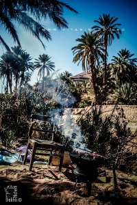 Un Barbecue dans la palmeraie de Moghrar