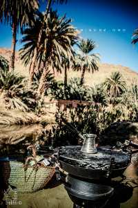Les Oasis de Moghrar et Tiout