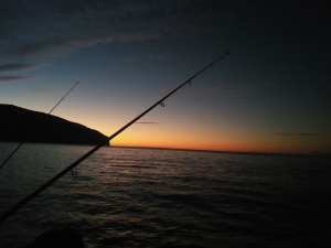 غروب الشمس من هنين الجميلة