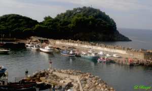 Port de Ziama-Mansouriah