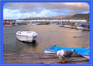 Port de Ziama en hiver
