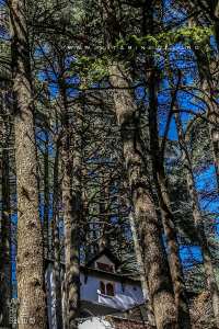 Parc National de Chrea