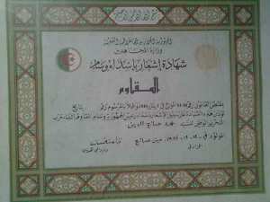 مجاهد صلاح الدين محمد