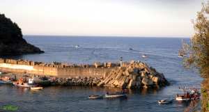 Sortie en mer des sardiniers