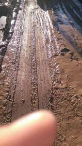 على بيها حبسوا إستوراد الشوكولاطة... عارفين بلي عندنا إكتفاء ذاتي فيها