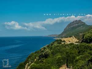 Vers le Cap de Fer (Ras El Hadid)