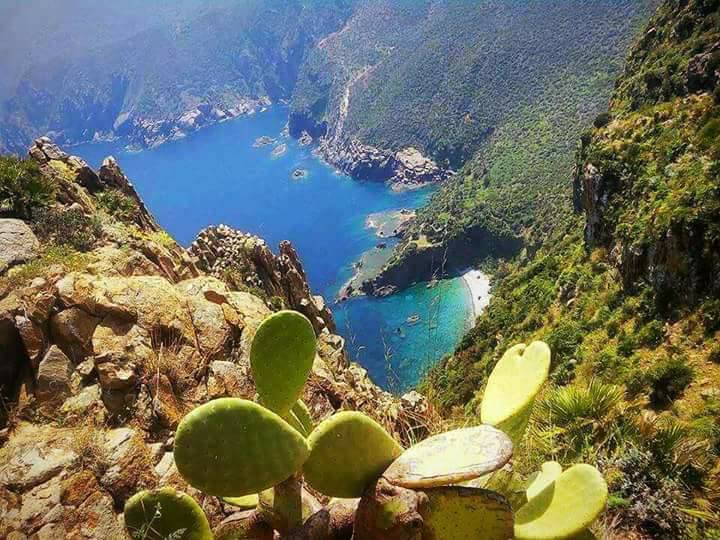 Plage de Seraidi Oued Samhoute (Annaba)